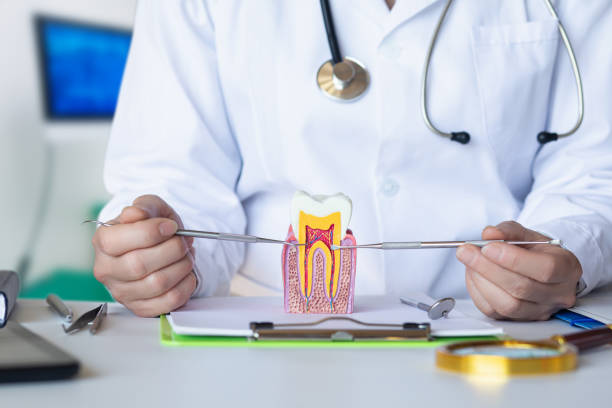Best Urgent Tooth Repair  in Bristol, TN